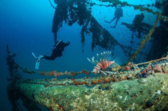 home_divingatseachart.jpg