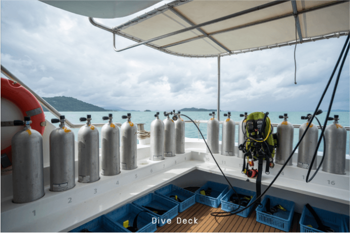 liveaboardsliveaboardboatsandschedulesmvkoon9_02divedeck.png